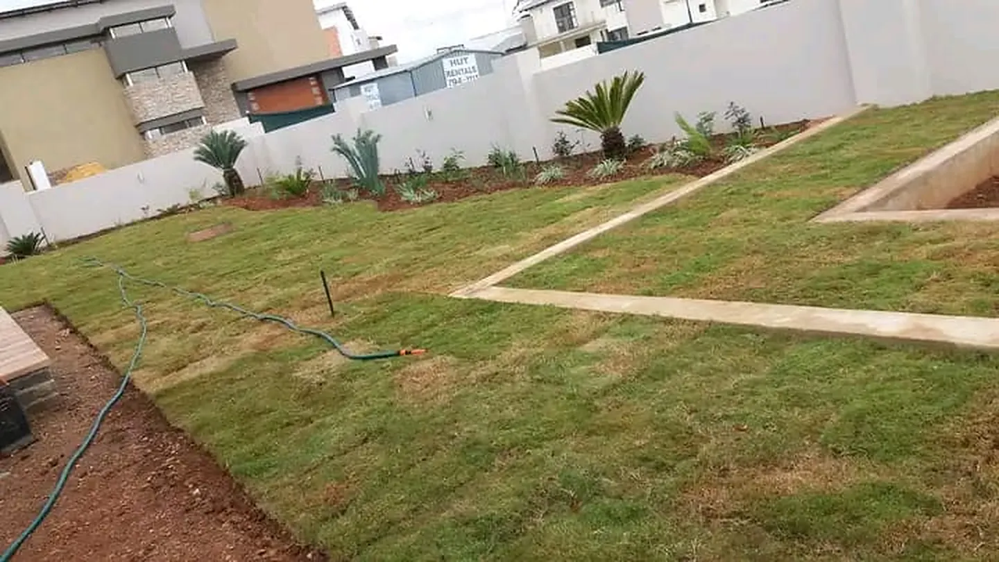 An established garden with a walkway and planted borders