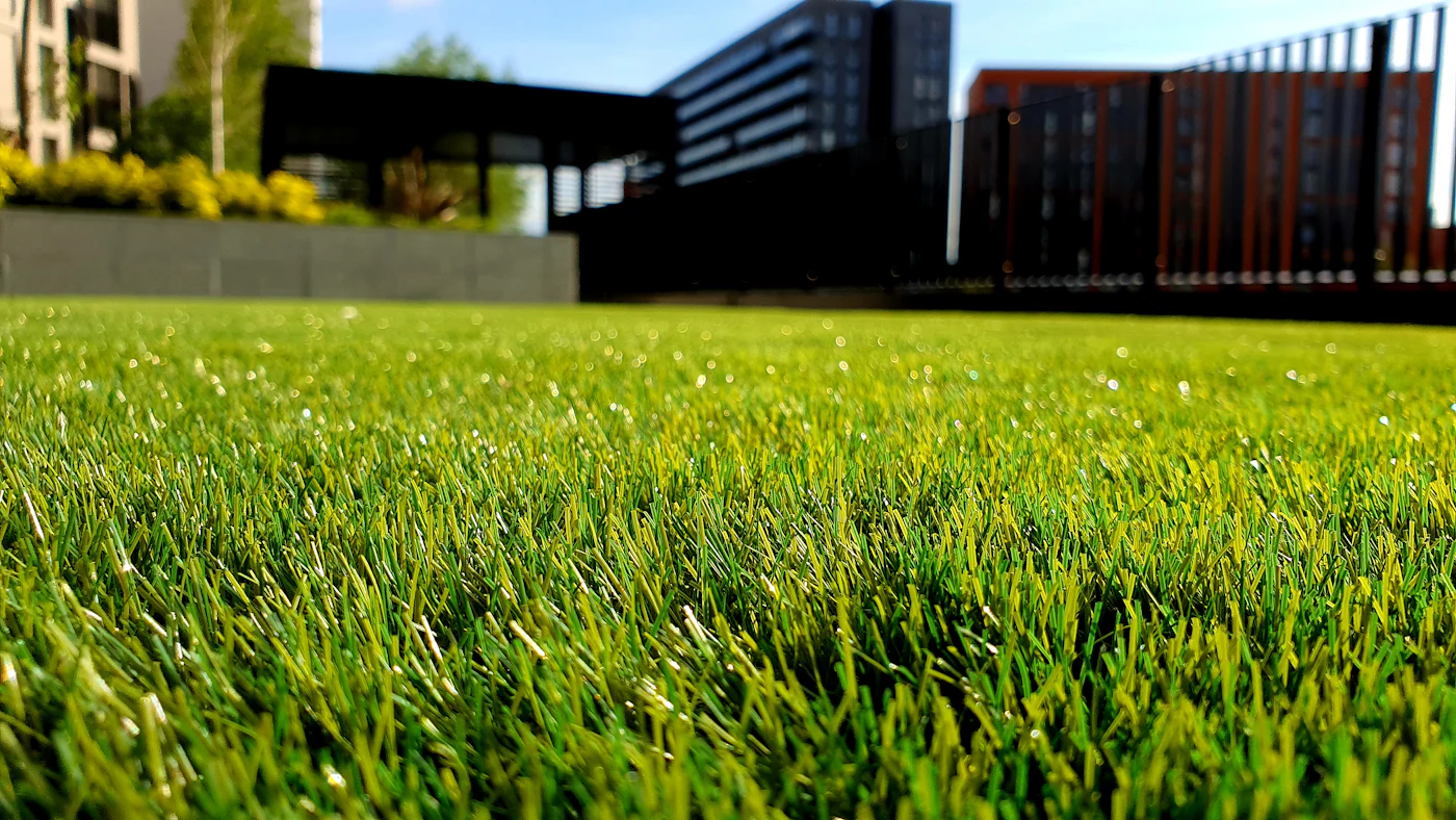 Close view of dense healthy lawn in front of a modern boundary wall